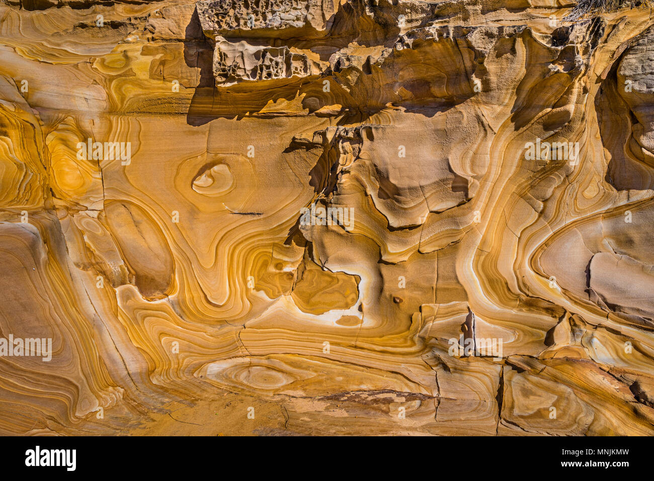 Splendidamente paterned Hawksbury arenaria a Maitland Bay, decorative di linee di colore marrone e le iscrizioni sono state formate da ricchi di ferro e di acqua sono noti come Foto Stock