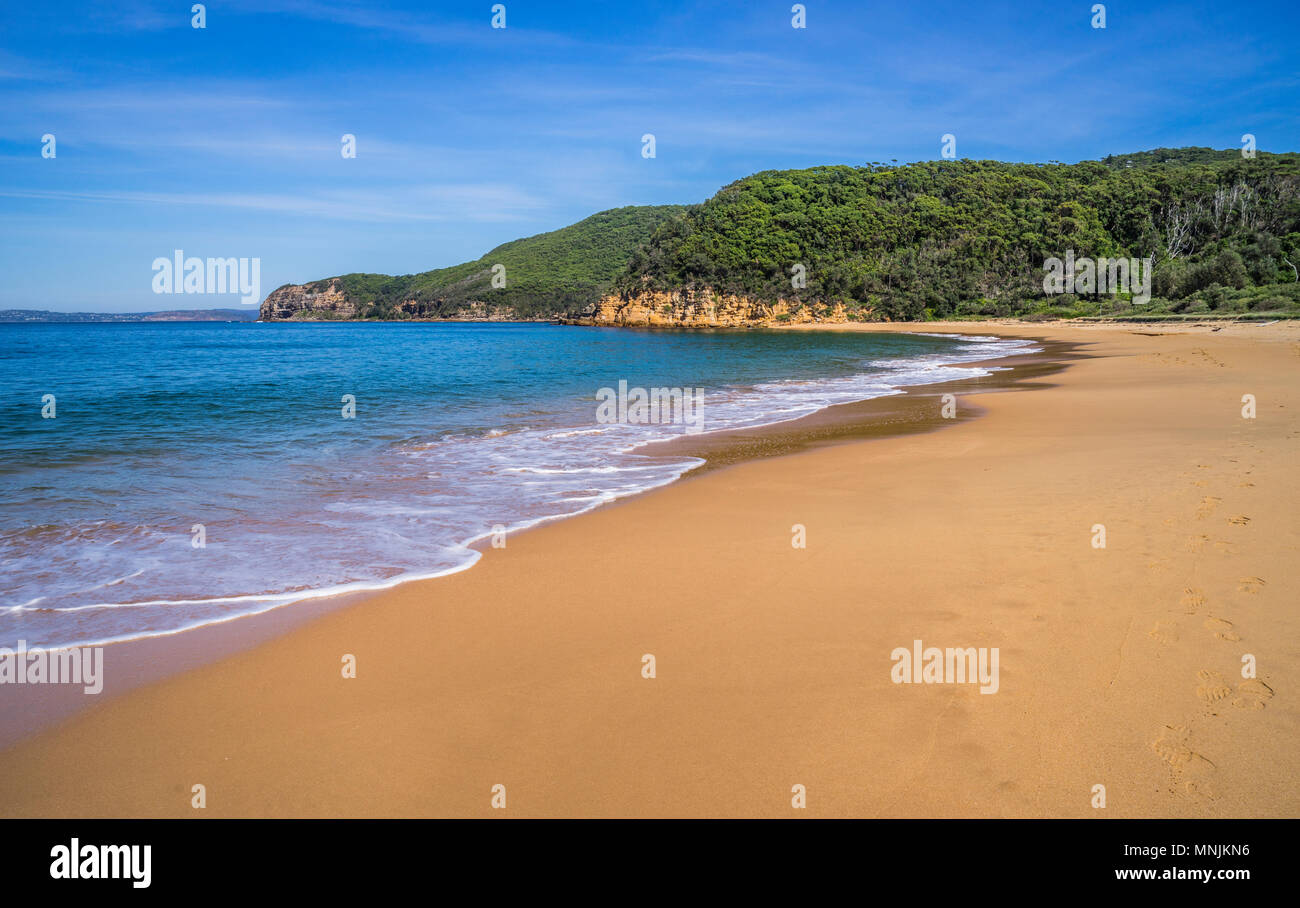 Spiaggia a Maitland Bay, Bouddi National Park Central Coast, Nuovo Galles del Sud, Australia Foto Stock