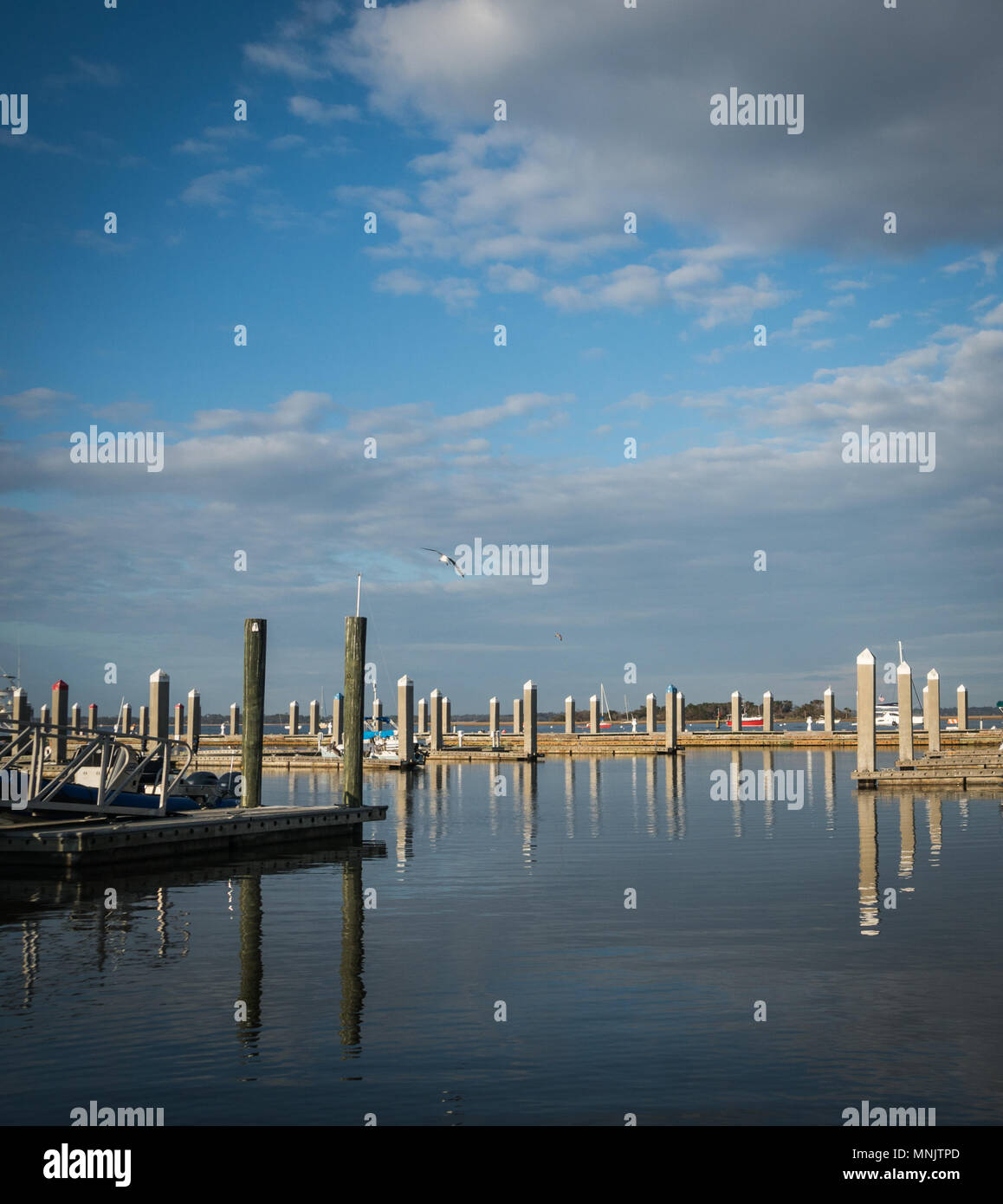 Darsena di Marina in una giornata di sole Foto Stock