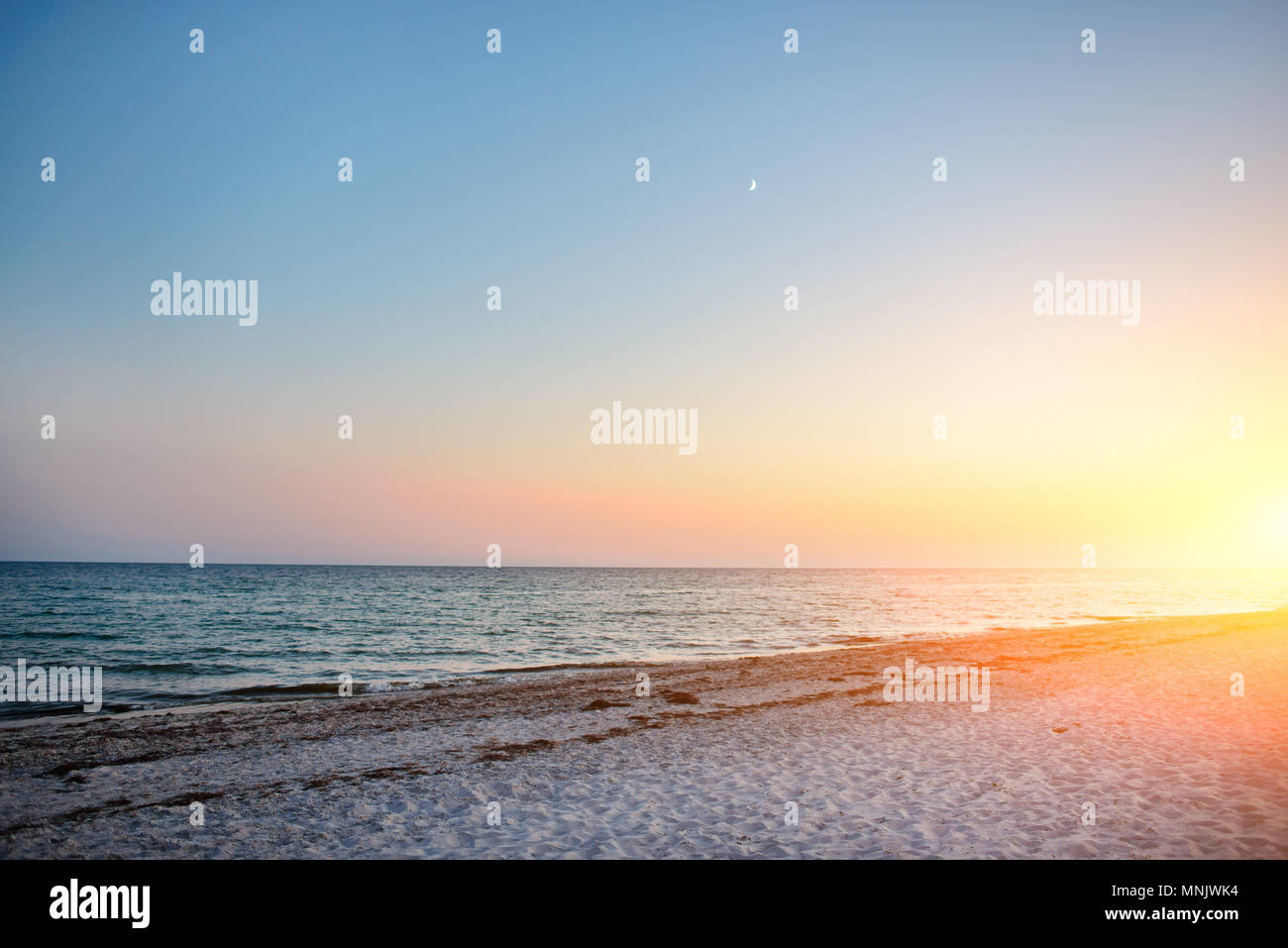 Una spiaggia selvaggia e un piccione acqua di mare in una bella giornata di sole. Foto Stock