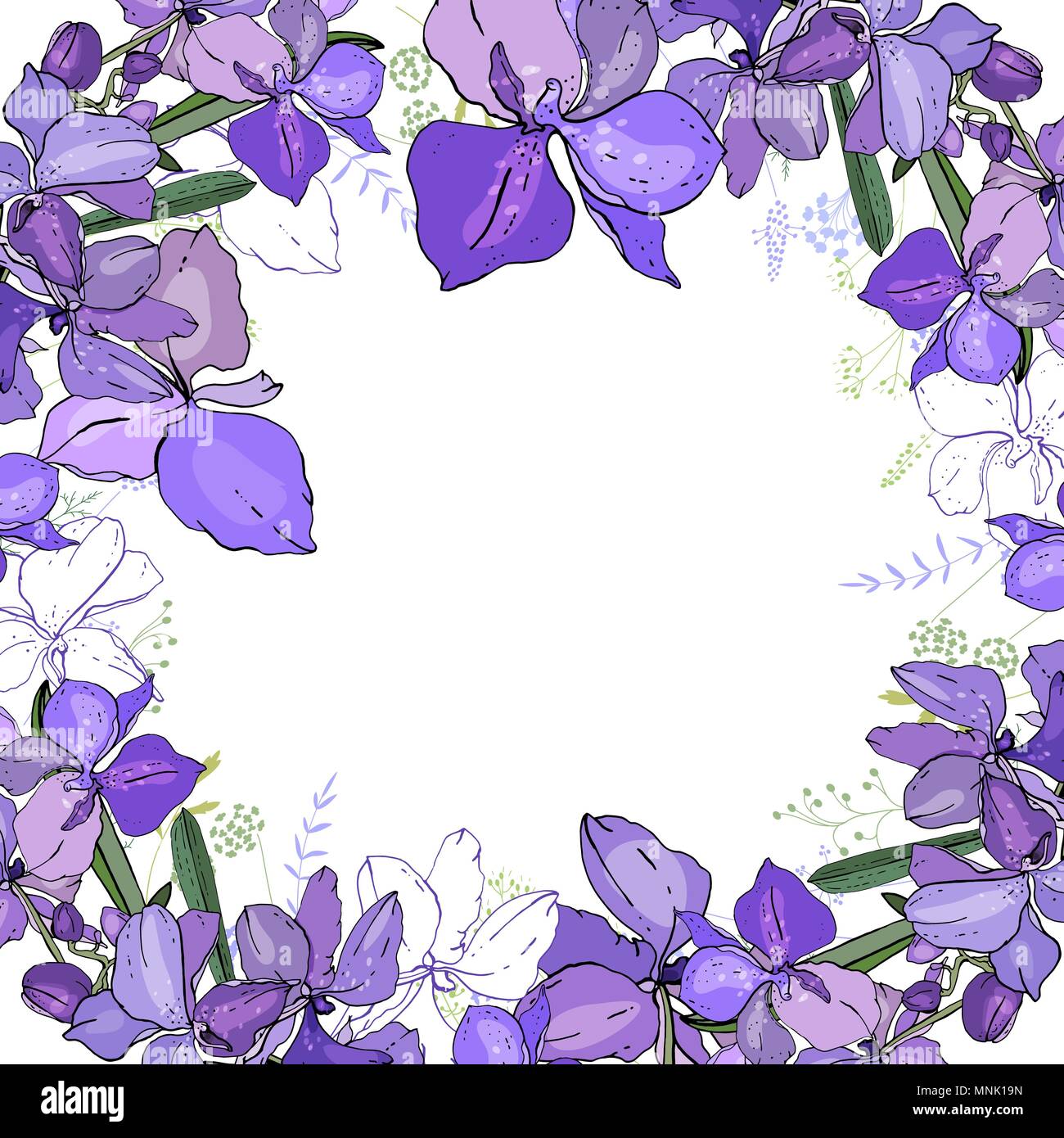 Cornice romantica con orchidee. Vuoto modello quadrato Illustrazione Vettoriale