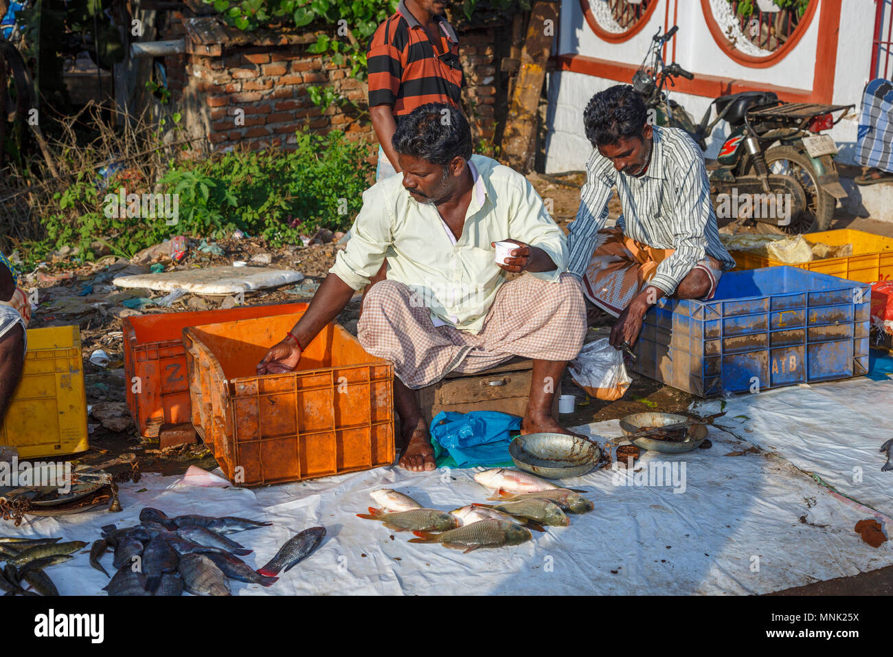 Sul ciglio della strada per il mercato appena pescato locale di pesce di fiume vicino a Thanjavur, precedentemente Tanjore, una città nel sud dello stato indiano del Tamil Nadu, India Foto Stock