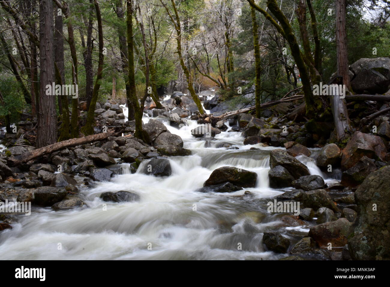 Rapide di un fiume che scorre, il Parco Nazionale Yosemite in California Foto Stock