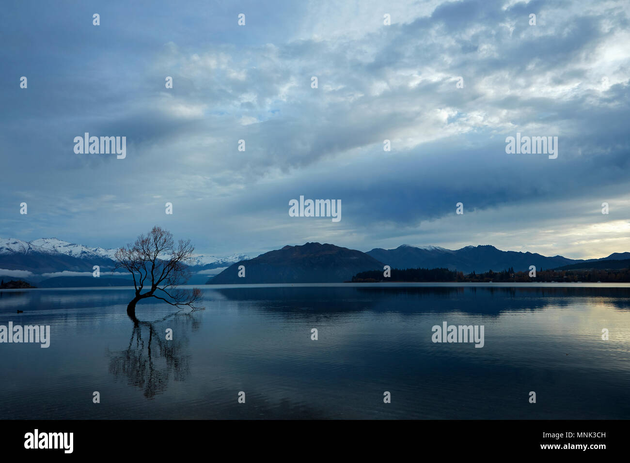 Le nuvole e che "Wanaka Tree' riflessa nel Lago Wanaka, Otago, Isola del Sud, Nuova Zelanda Foto Stock