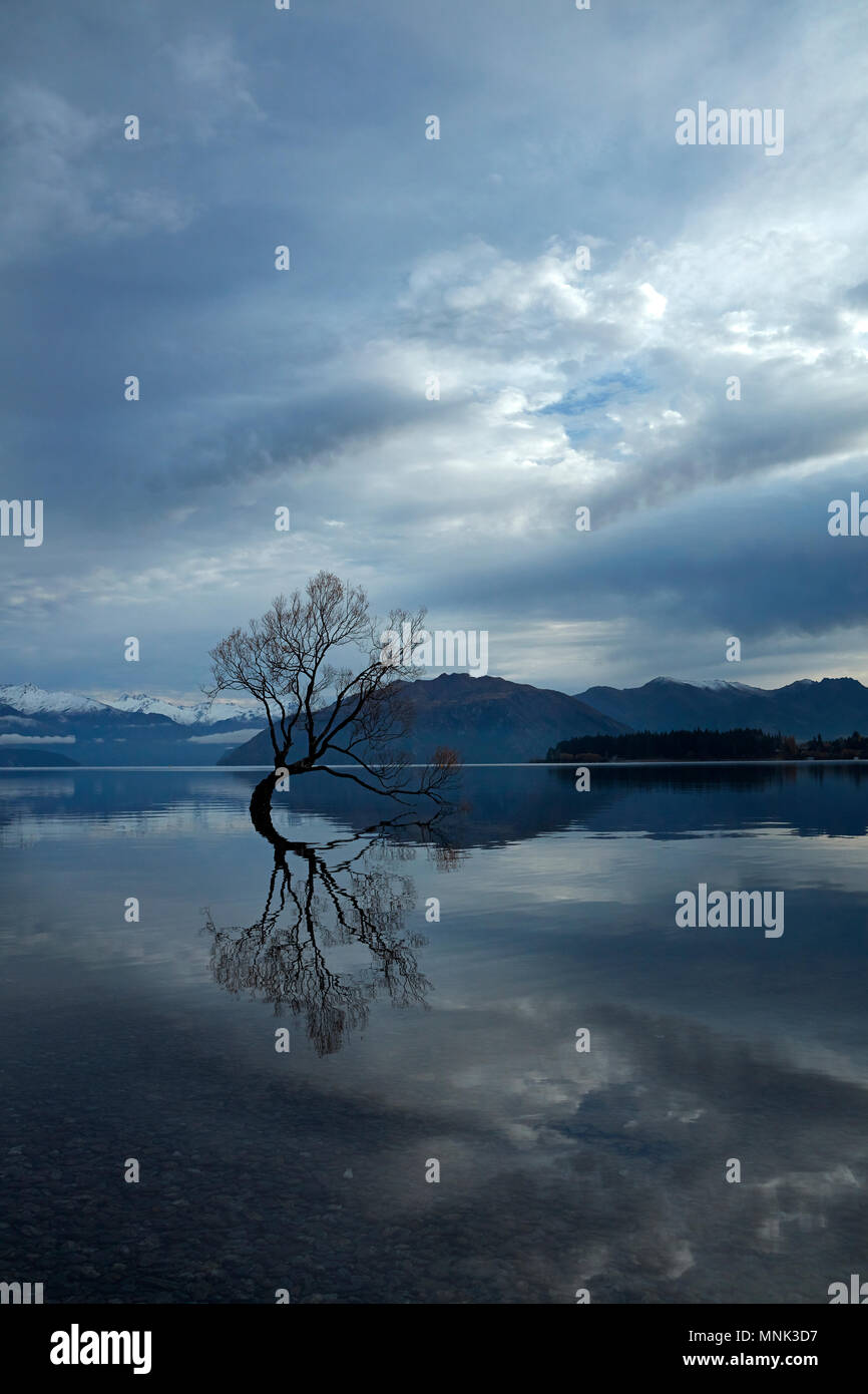 Le nuvole e che "Wanaka Tree' riflessa nel Lago Wanaka, Otago, Isola del Sud, Nuova Zelanda Foto Stock