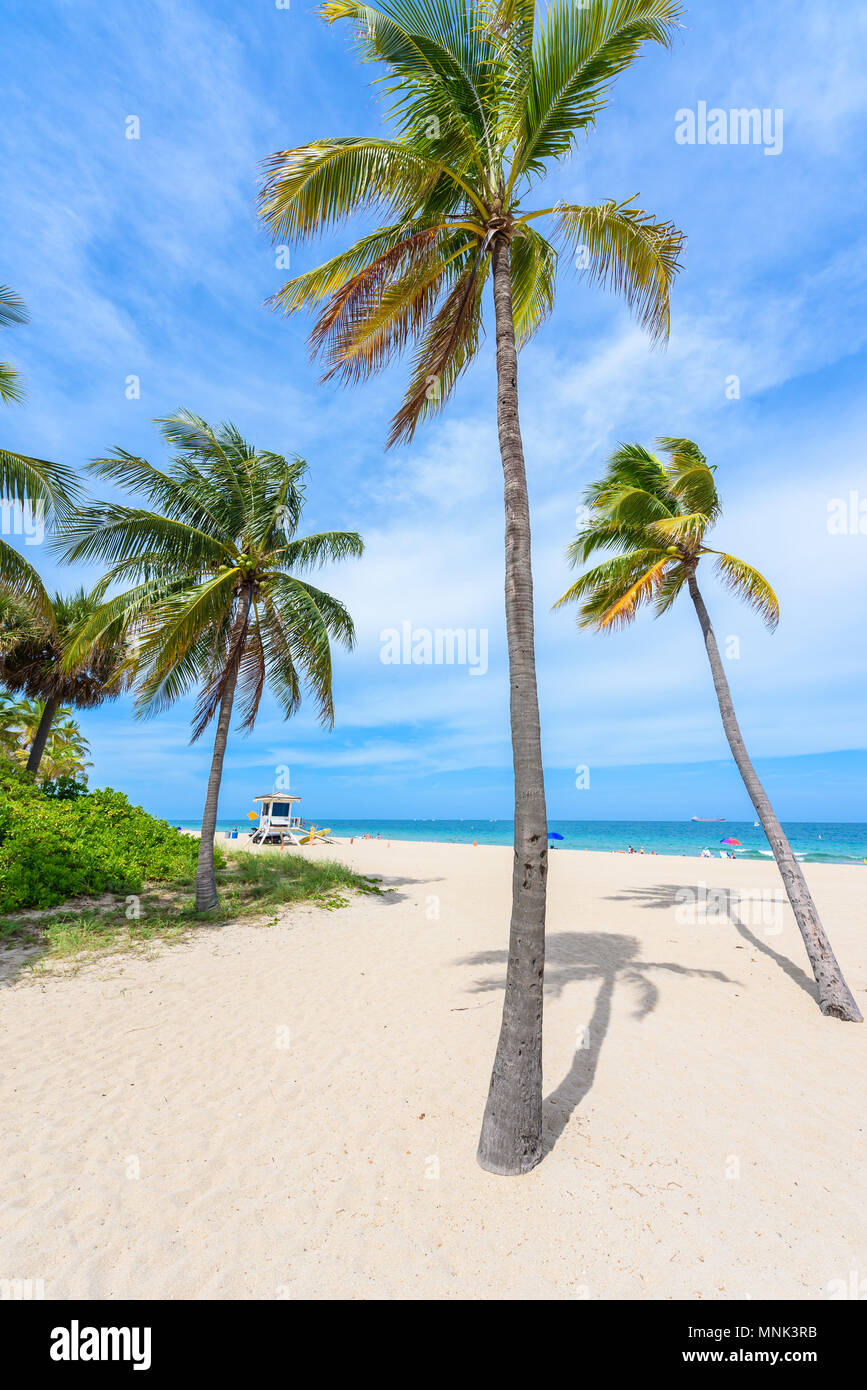 Paradise Beach a Fort Lauderdale in Florida su una bella giornata estiva. Spiaggia tropicale con palme alla spiaggia bianca. Stati Uniti d'America. Foto Stock