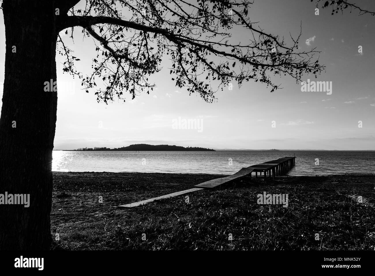 Un molo sul lago Trasimeno (Umbria) con un albero in primo piano Foto Stock