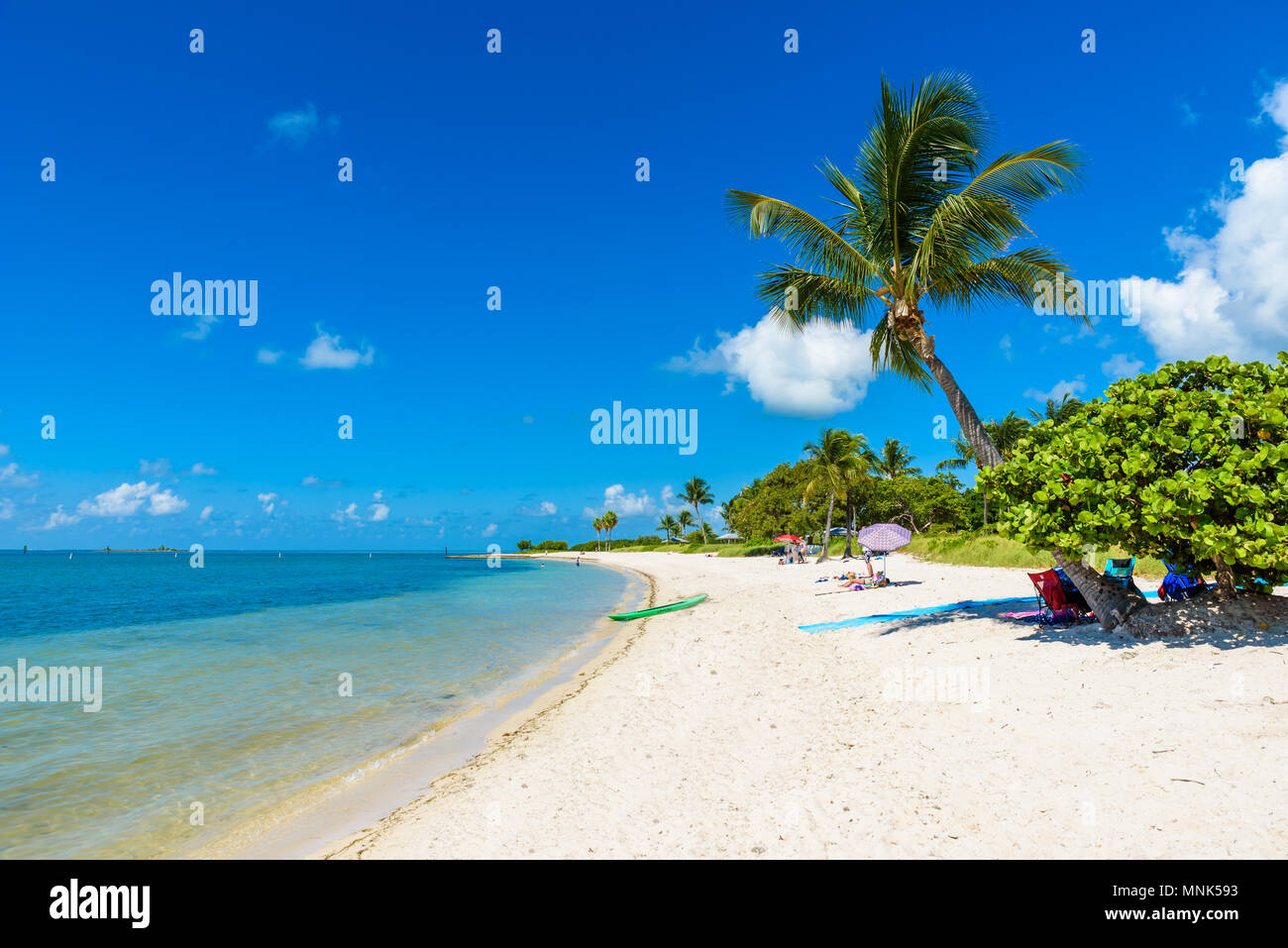 Sombrero Beach con palme sulla Florida Keys, maratona, Florida, Stati Uniti d'America. Tropicale e destinazione paradiso per le vacanze. Foto Stock