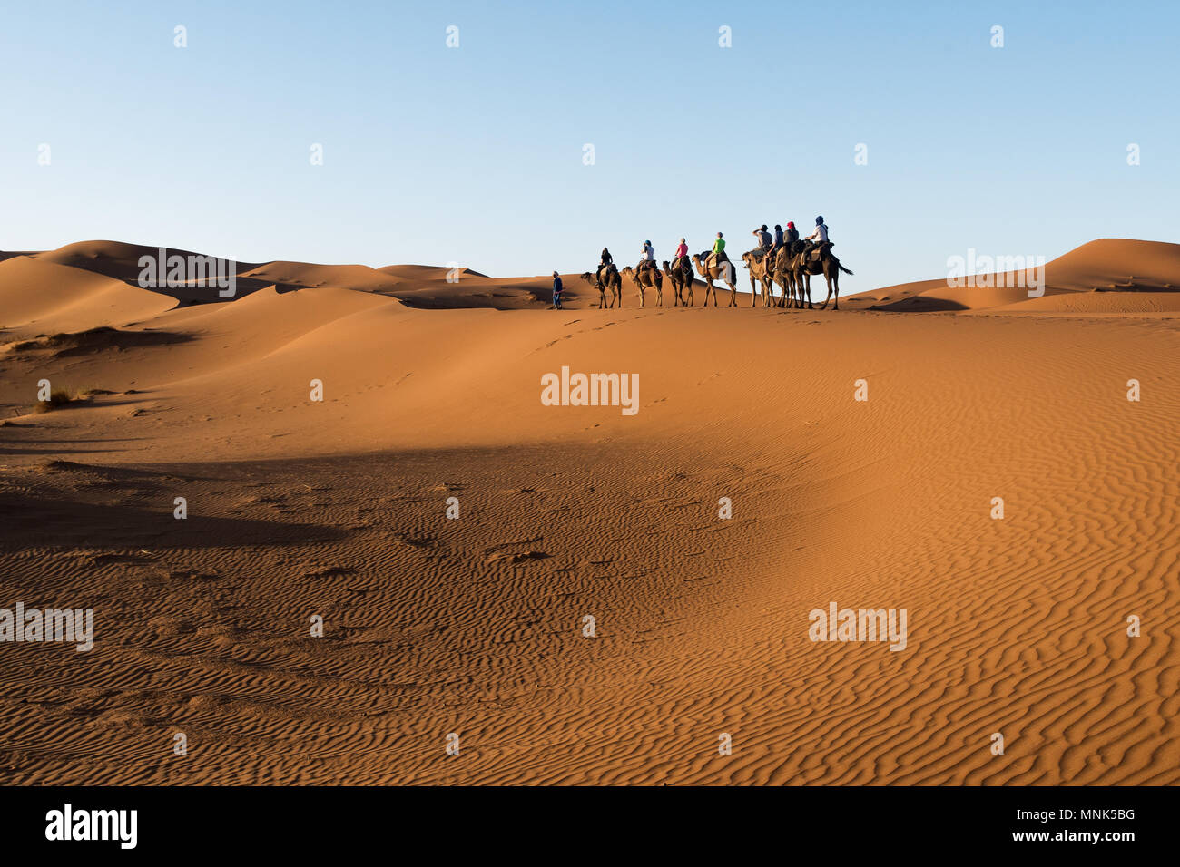 Deserto di Merzouga al tramonto, Marocco Foto Stock