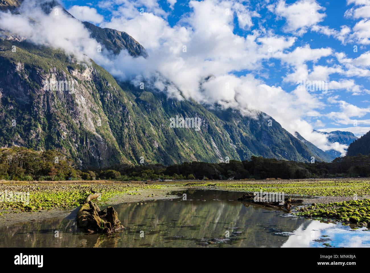 Milford Sound Nuova Zelanda Milford Sound Mitre peak parco nazionale di Fiordland Southland Nuova Zelanda Fjordland National Park South Island nz Foto Stock