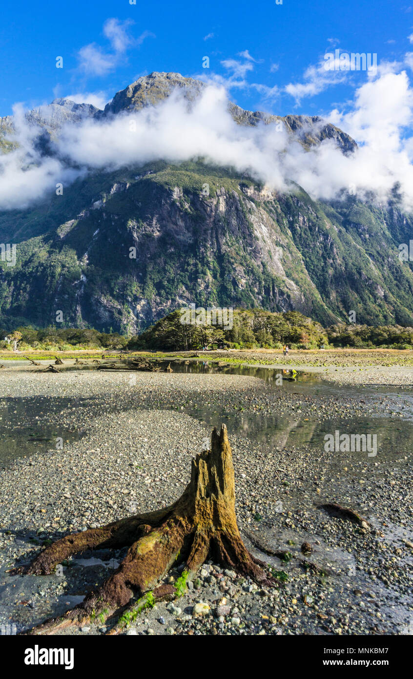 Milford Sound Nuova Zelanda Milford Sound Mitre peak parco nazionale di Fiordland Southland Nuova Zelanda Fjordland National Park South Island nz Foto Stock