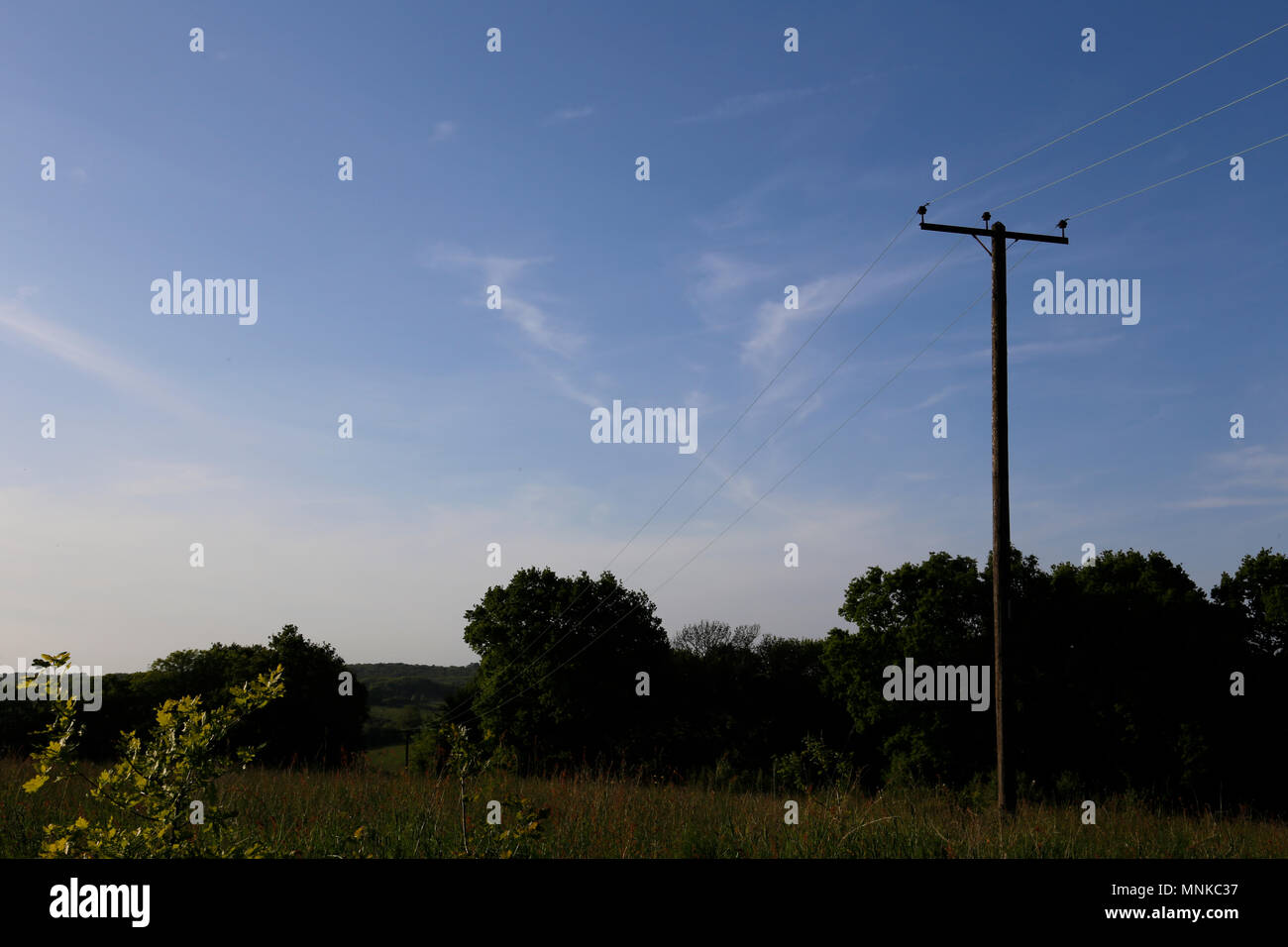 Telegraph linee telefoniche in estate Foto Stock