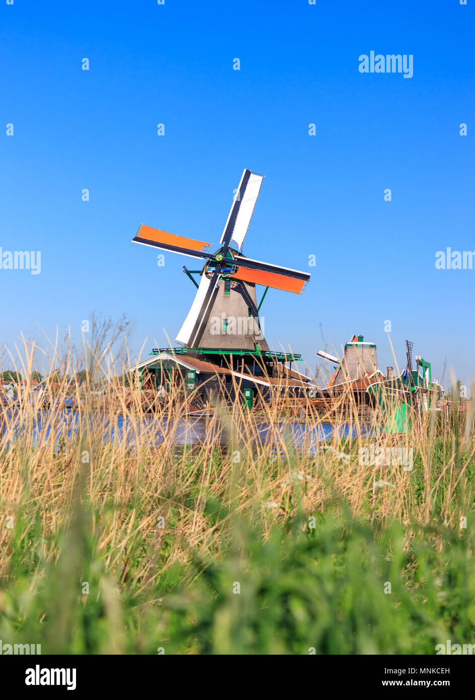 Il mulino a vento a Zaanse Schans, Paesi Bassi Foto Stock