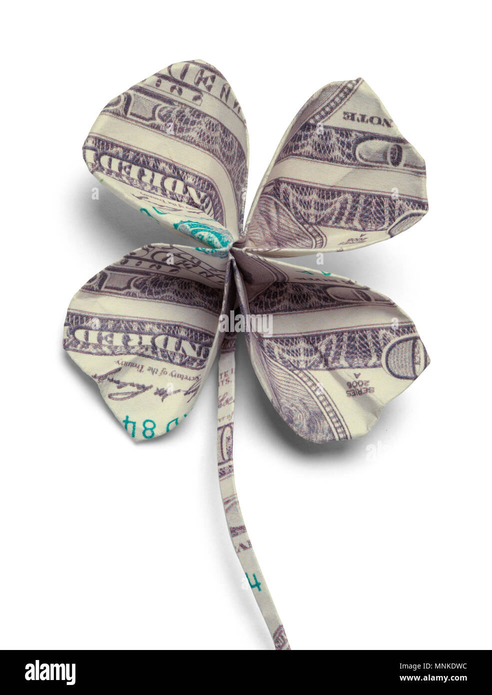 Hundred Dollar quattro Leaf Clover isolato su uno sfondo bianco. Foto Stock