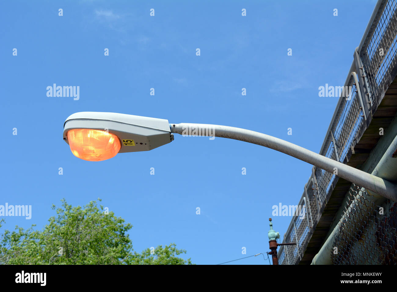Testa di Cobra Street Light Foto Stock