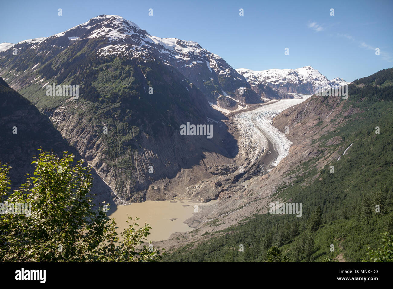 Situato nella parte nord di BC 40km Stewart - a cui si accede tramite Hyder Alaska è la quinta più grande ghiacciaio in Canada. In corrispondenza della zona della punta, creste di morene sono stati depositati Foto Stock