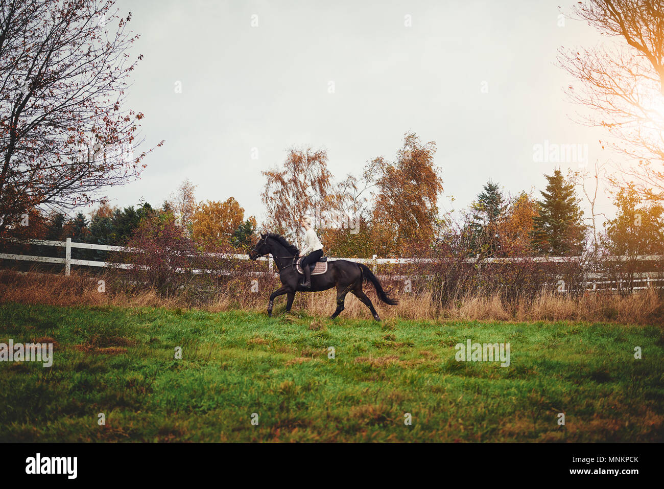 Giovane donna in marcia a cavallo al galoppo il suo cavallo di castagno da solo attraverso una campagna pascolo in autunno Foto Stock