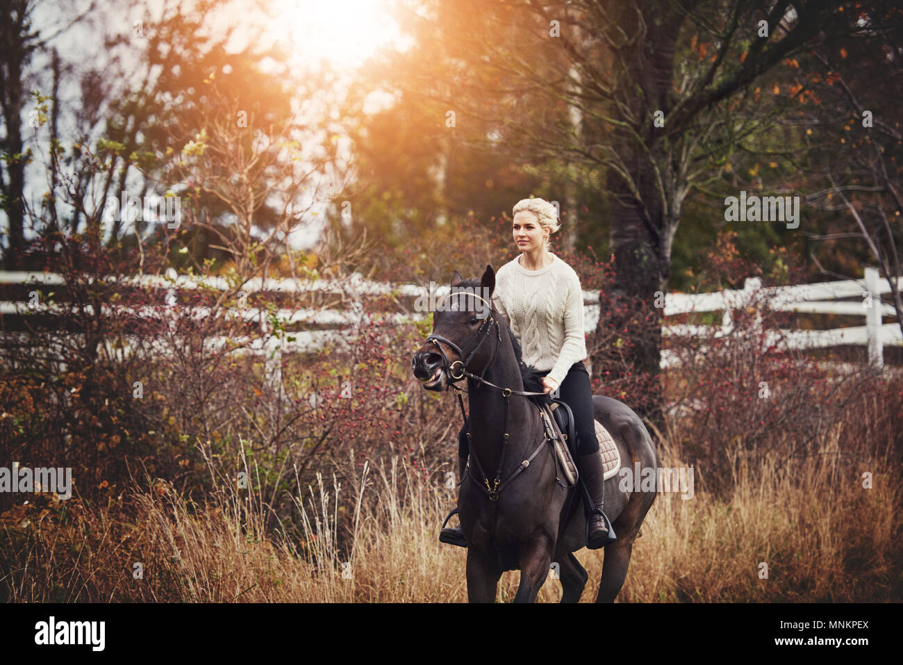 Giovane donna in marcia a cavallo al galoppo il suo cavallo di castagno da soli attraverso la campagna in autunno Foto Stock