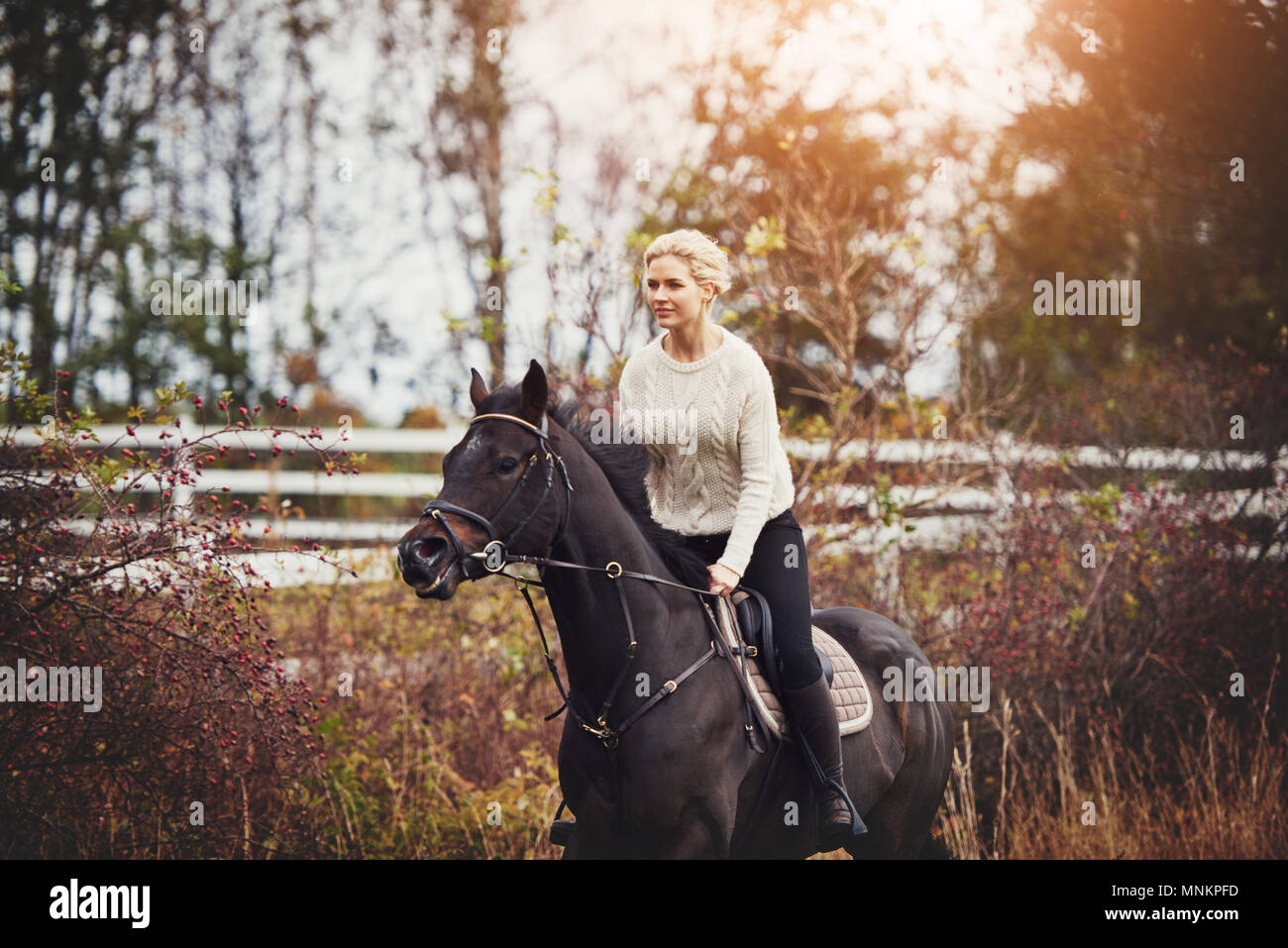 Sorridente giovane donna in marcia a cavallo al galoppo il suo cavallo di castagno da solo attraverso un campo in autunno Foto Stock