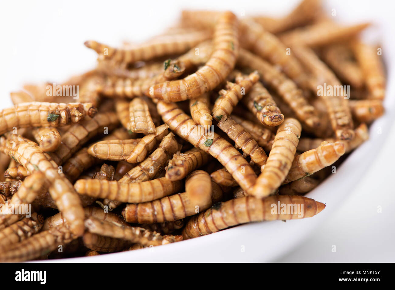 Primo piano di alcuni worm fritte condite con aglio ed erbe in un bianco vaso in ceramica Foto Stock