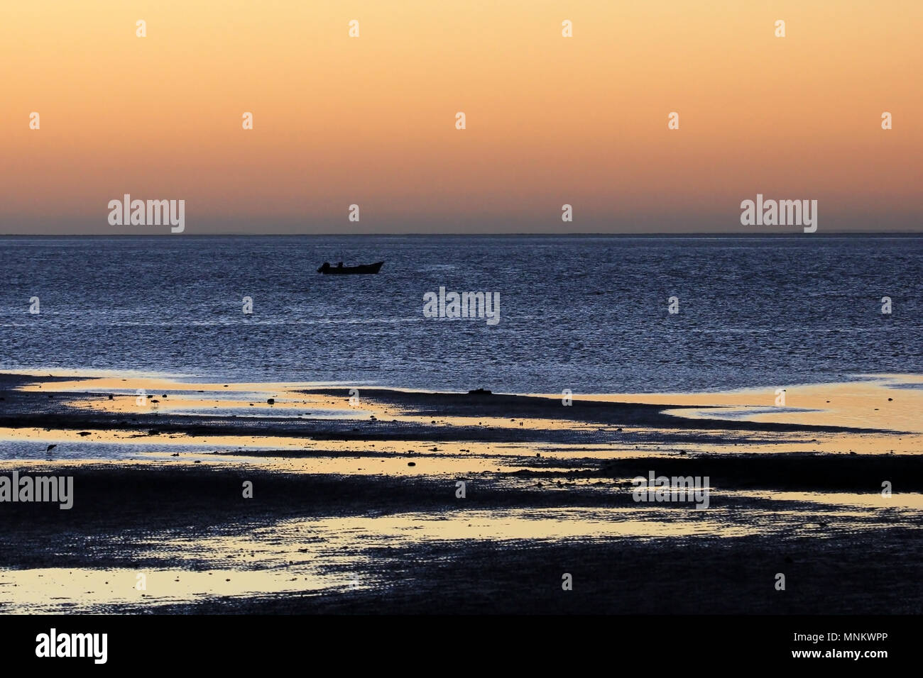 La pesca in barca al tramonto nella Baia di San Ignacio Laguna, Baja California, Messico Foto Stock