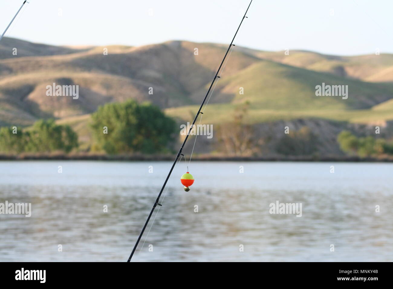 In attesa di un morso, al Lago Ming, Bakersfield, CA. Foto Stock
