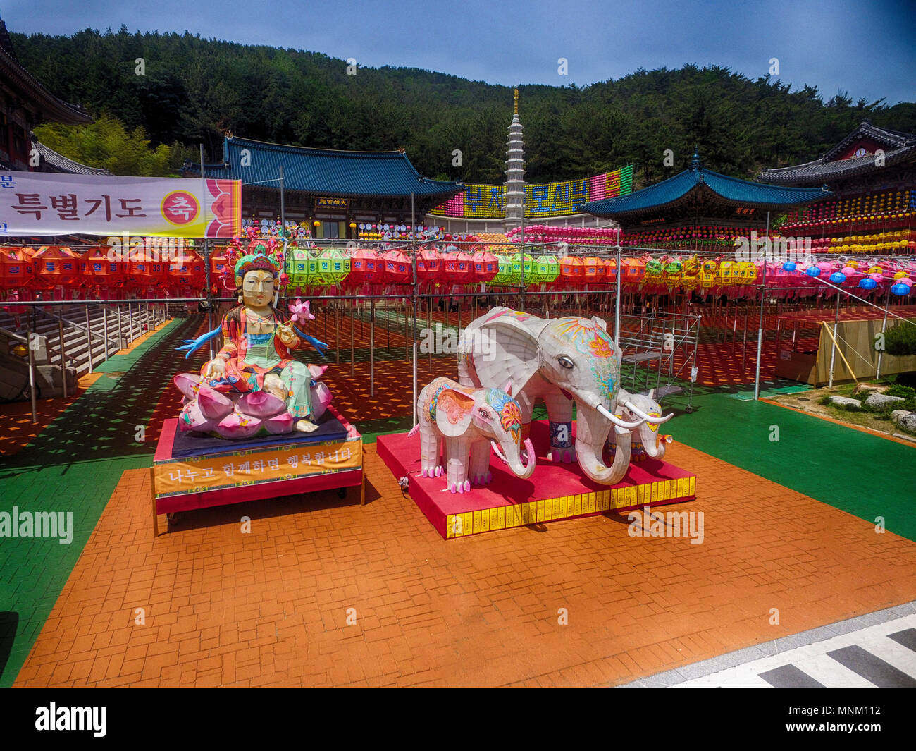 Lotus Lantern Festival nel Tempio Samgwangsa, Busan, Corea del Sud, Asia quando può-15-2018 Foto Stock