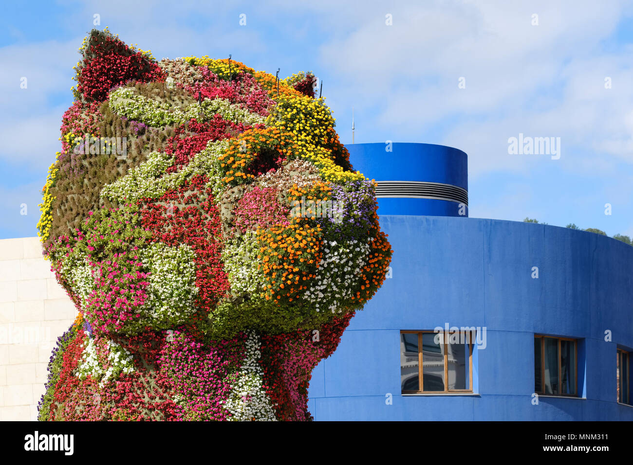 Cucciolo; Jeff Koons; Museo Guggenheim di Bilbao;; Vizcaya; Pais Vasco; Spagna; Foto Stock