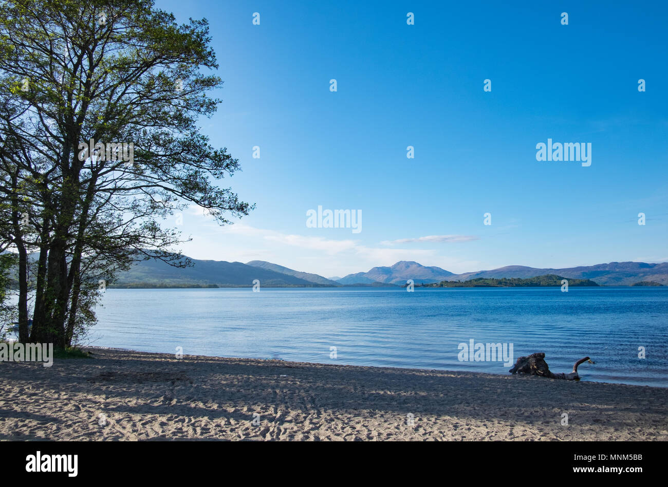 La bonnie banks di Loch Lomond, Scozia Foto Stock