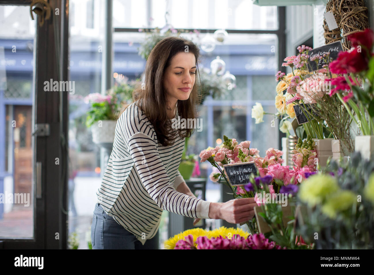 Fioraio prezzo fiori nel suo store Foto Stock