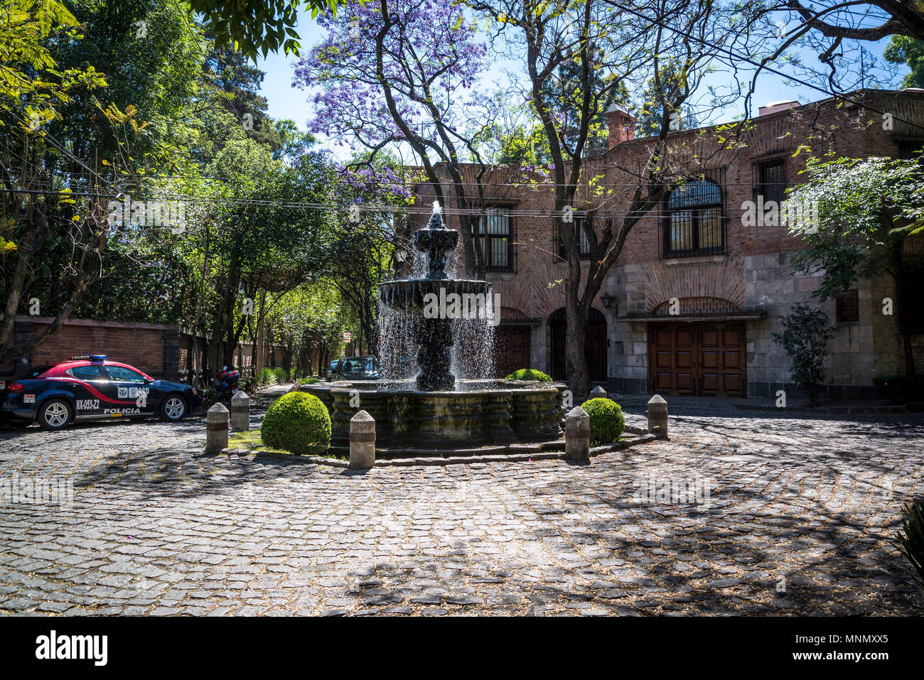 Peluche Chimalistac residenziale - San Ángel distretto, Città del Messico, Messico Foto Stock