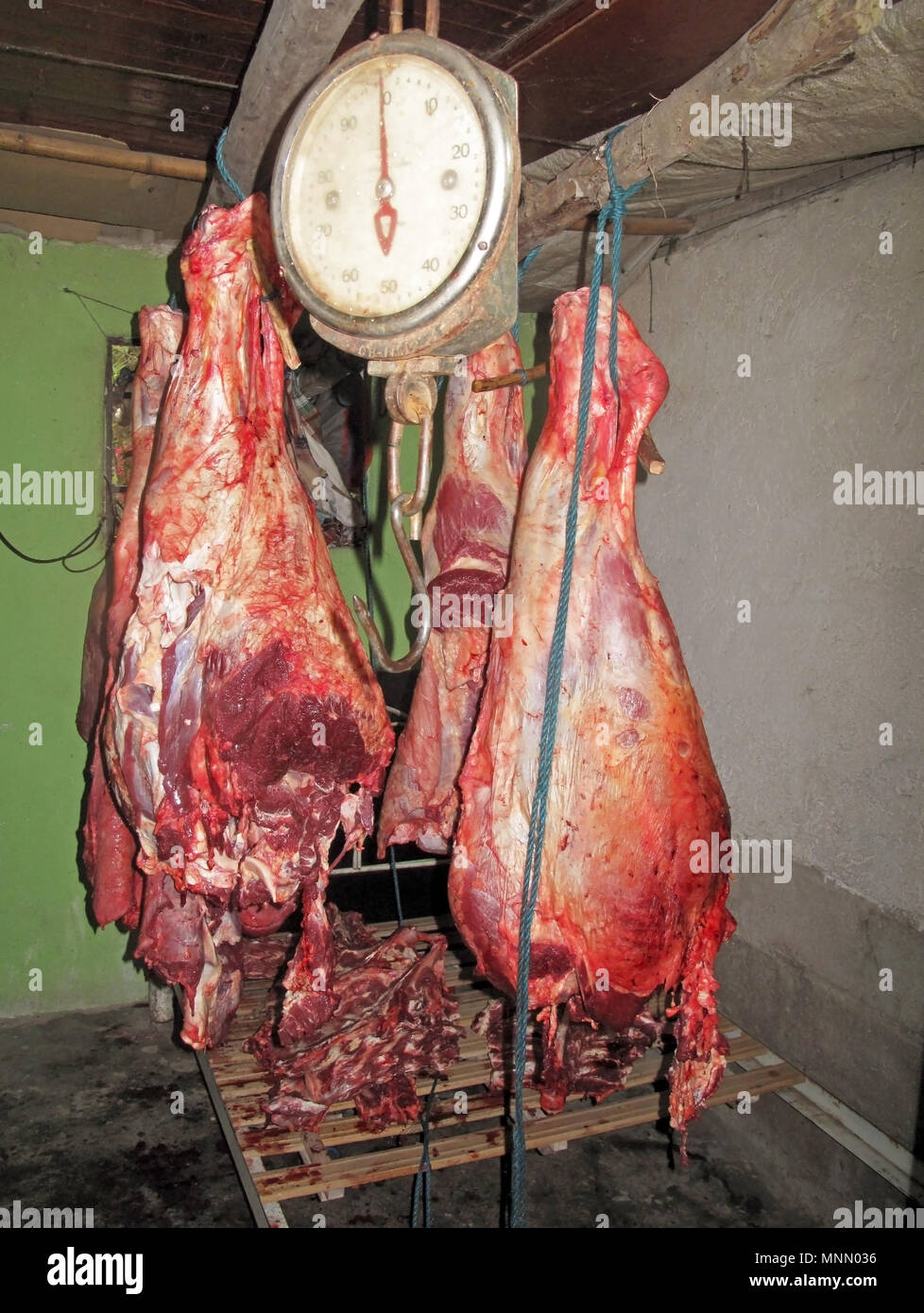 Fresco di carne di mucca appeso, Colombia Foto Stock