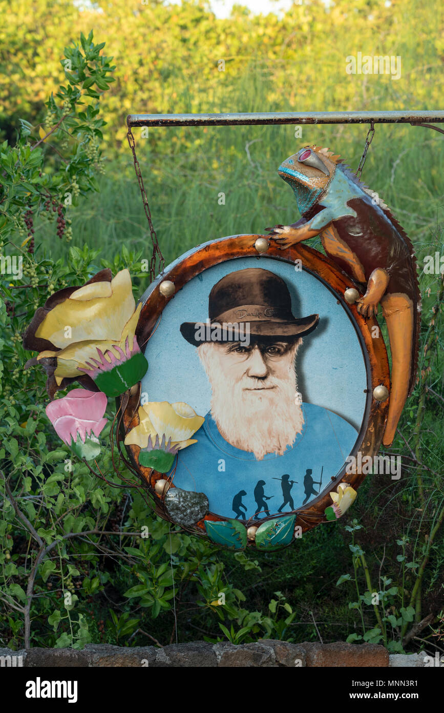Segno raffigurante Charles Darwin, evoluzione umana, fiori e una lucertola di Puerto Ayora, Isola di Santa Cruz, Isole Galapagos, Ecuador. Foto Stock