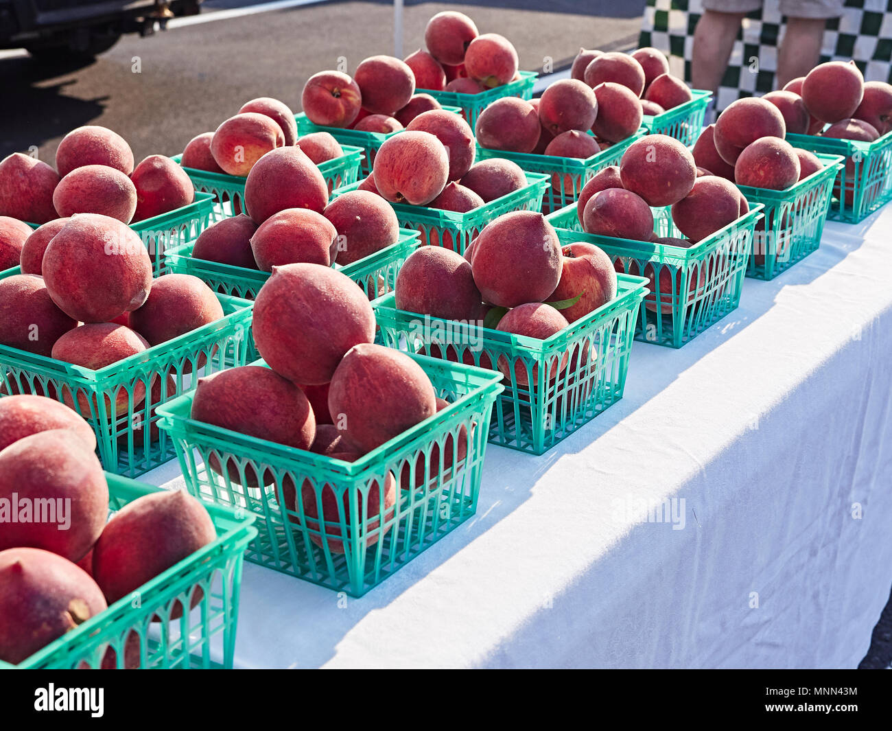 Mature, freschi raccolti Chilton County pesche sul display in cesti in corrispondenza di un bordo strada mercato degli agricoltori in Alabama, Stati Uniti d'America. Foto Stock