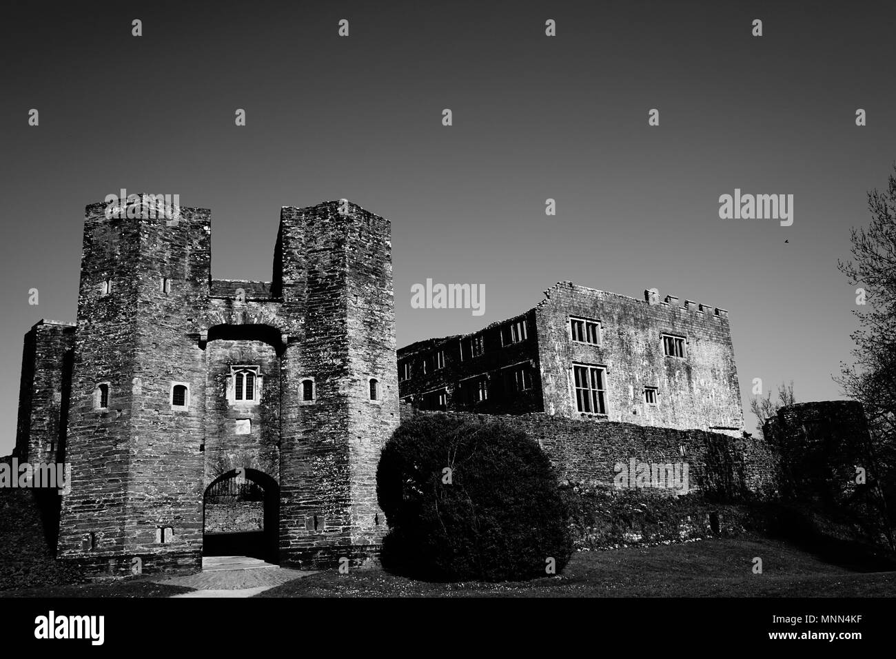 Berry Pomeroy, una presunta haunted castello inglese, su una soleggiata giornata di primavera - girato in bianco e nero Foto Stock