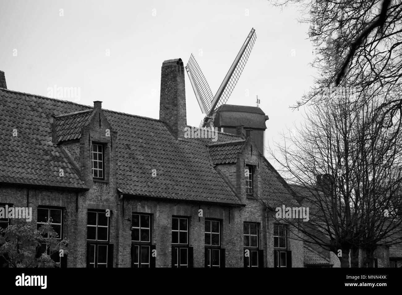 Guido Gezelle Museum a Rolweg 64, Brugge, Belgio, con l'Sint-Janshuismolen dietro Foto Stock