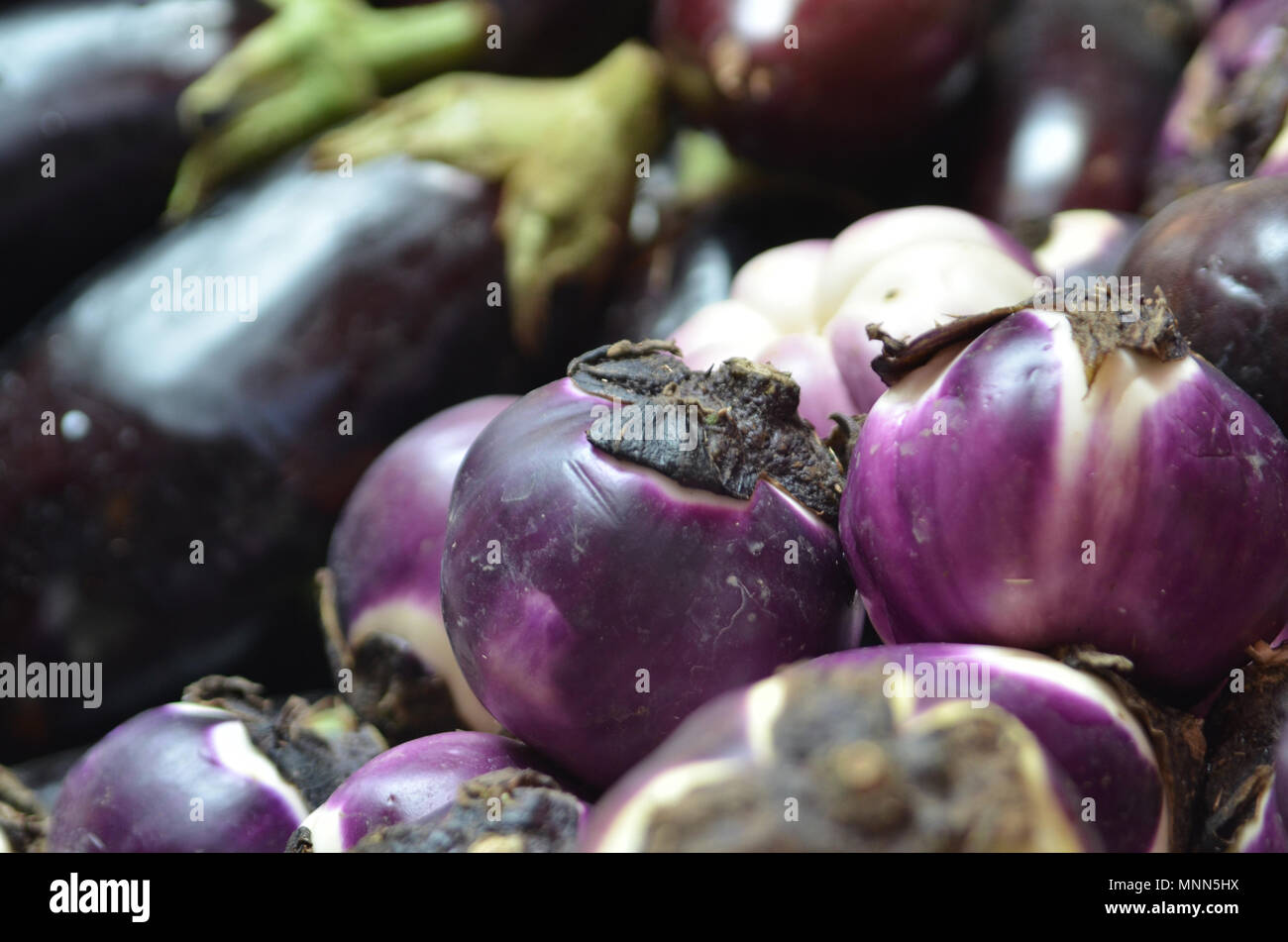 Primo piano di italiano standard e le melanzane al Mercato della Vucciria a Palermo, Italia Foto Stock