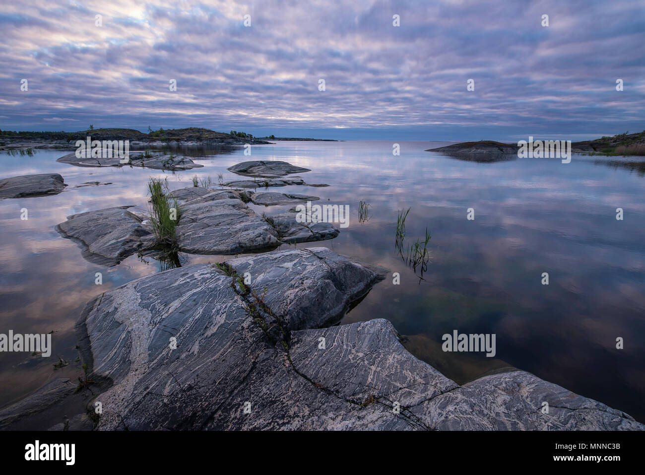 Lakeside foto scattata alla mattina presto a Ladoga skerries, regione della Karelia, Russia. Freddo intenso Mattina nuvoloso con inaspettatamente delicato blu e rosa Foto Stock