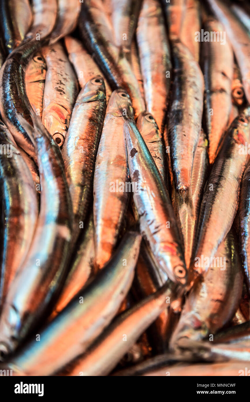 Sardine del mediterraneo pronto per la vendita su un mercato in Sicilia Foto Stock