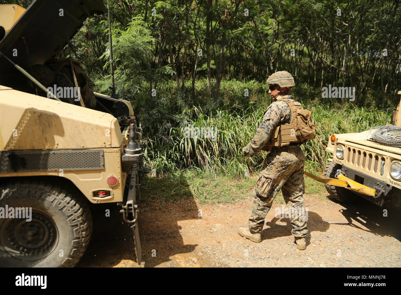 Stati Uniti Marine Corps Lance Cpl. Andrew Carranza si prepara a cinghia per il trasporto e il traino di un Humvee colpito da una simulazione di esplosivi improvvisati dispositivo durante una pattuglia montata esercizio al Marine Corps Area Formazione soffietto, Marzo 15, 2018. Come una parte di esercizio Bougainville I, i Marines ha lavorato come un combinato di anti-armor team e fatto reagire per simulazione di IED e imboscate. Esercizio Bougainville I è utilizzato per addestrare i Marines a lottare in piccole unità di livello e di costruire la loro competenza per le future distribuzioni. Carranza, nativo di Potsdam, New York, è con armi Company, 1° Battaglione, 3d reggimento Marine. Foto Stock