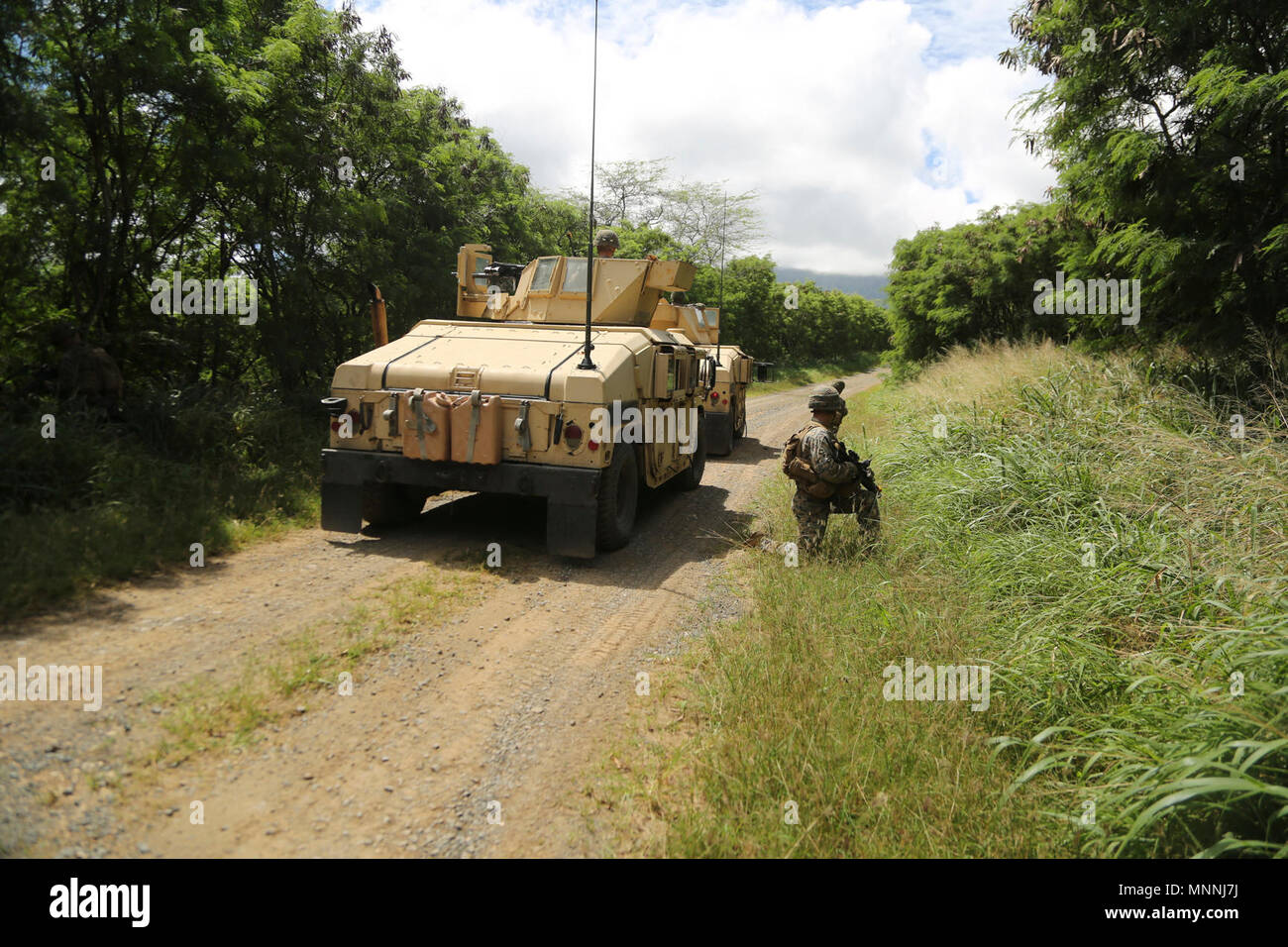 Stati Uniti Marines fornire sicurezza intorno un Humvee su una pattuglia montato durante l'esercizio Bougainville io al Marine Corps Area Formazione soffietto, Marzo 15, 2018. Durante questo evento di formazione, i Marines condotte pattuglie montato come un combinato di anti-armor team. Esercizio Bougainville I è utilizzato per addestrare i Marines a lottare in piccole unità di livello e di costruire la loro competenza per le future distribuzioni. I marines sono con 1° Battaglione, 3d reggimento Marine. Foto Stock