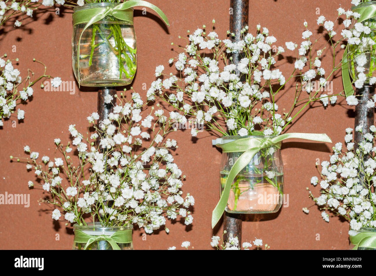 Vetro con acqua e fiori, fiori annuali festival "temps de flors 2018", Girona, Catalogna, Spagna Foto Stock