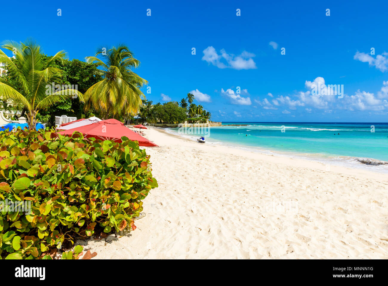 Dover Beach - spiaggia tropicale sull'isola caraibica di Barbados. Si tratta di una destinazione paradiso con una spiaggia di sabbia bianca e mare turquoiuse. Foto Stock