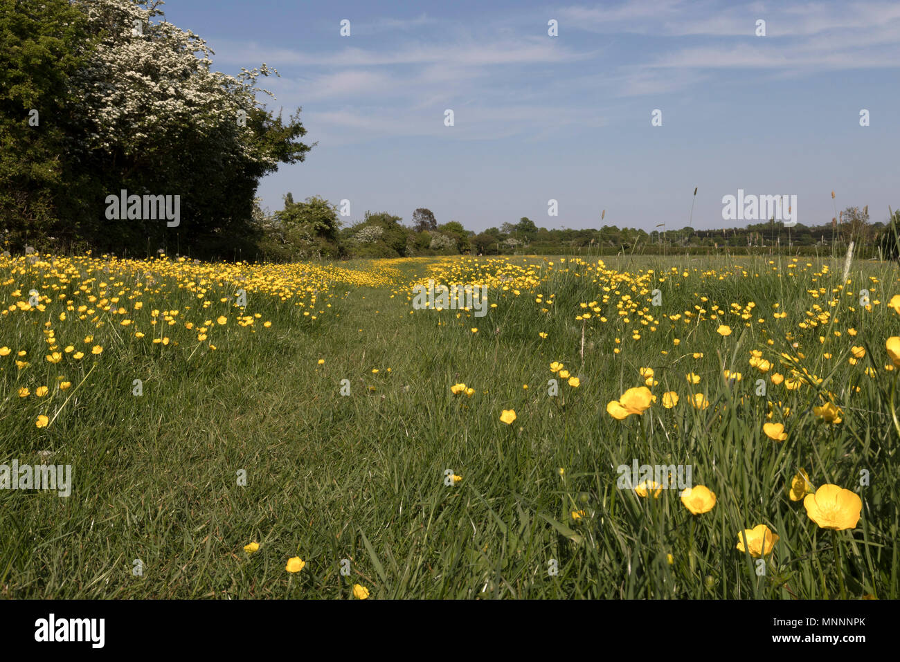 Campagna del Warwickshire Foto Stock