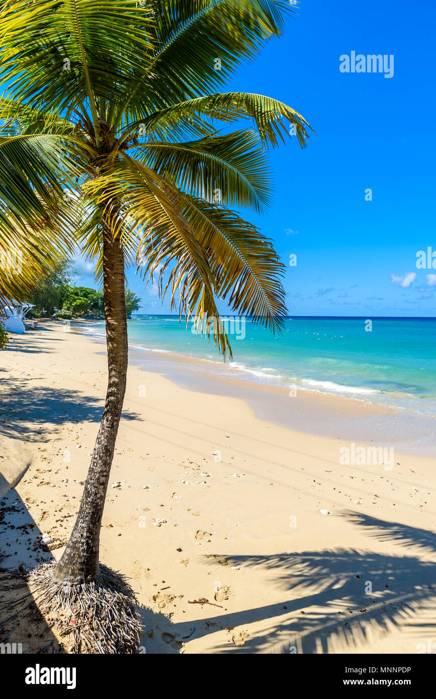 Mullins Beach - spiaggia tropicale sull'isola caraibica di Barbados. Si tratta di una destinazione paradiso con una spiaggia di sabbia bianca e mare turquoiuse. Foto Stock