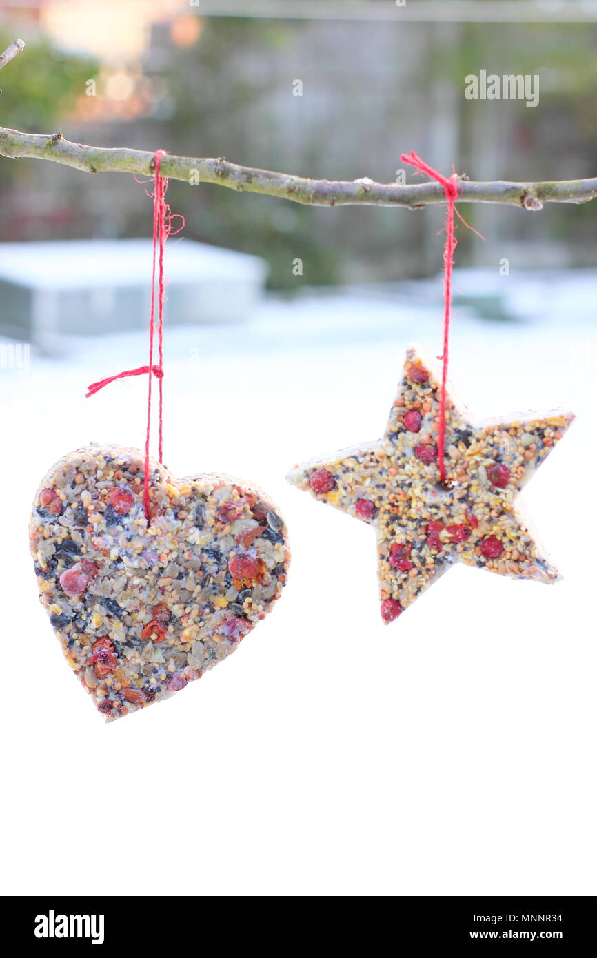 Passo dopo passo 6/7: rendere inverno berry bird alimentatori con cookie cutter. In casa di cuore e a forma di stella di alimentatori di uccelli appendere su albero in giardino con la neve Foto Stock