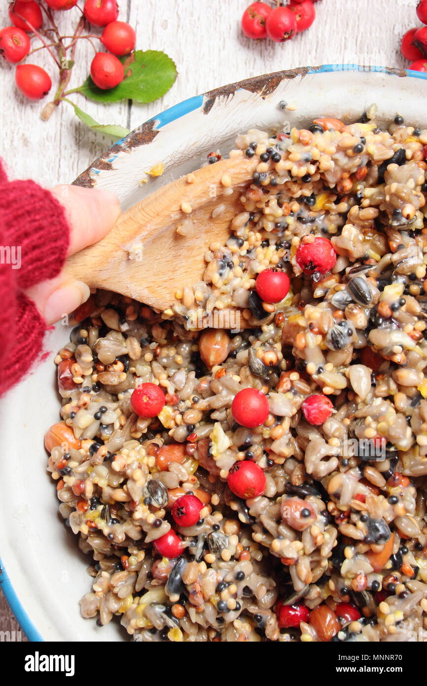 Passo dopo passo 2/7: rendere inverno berry bird alimentatori con cookie cutters.Mix noci, semi e frutti di bosco con grasso fuso. Mescolare bene per assicurarsi che il grasso copre tutti i. Foto Stock