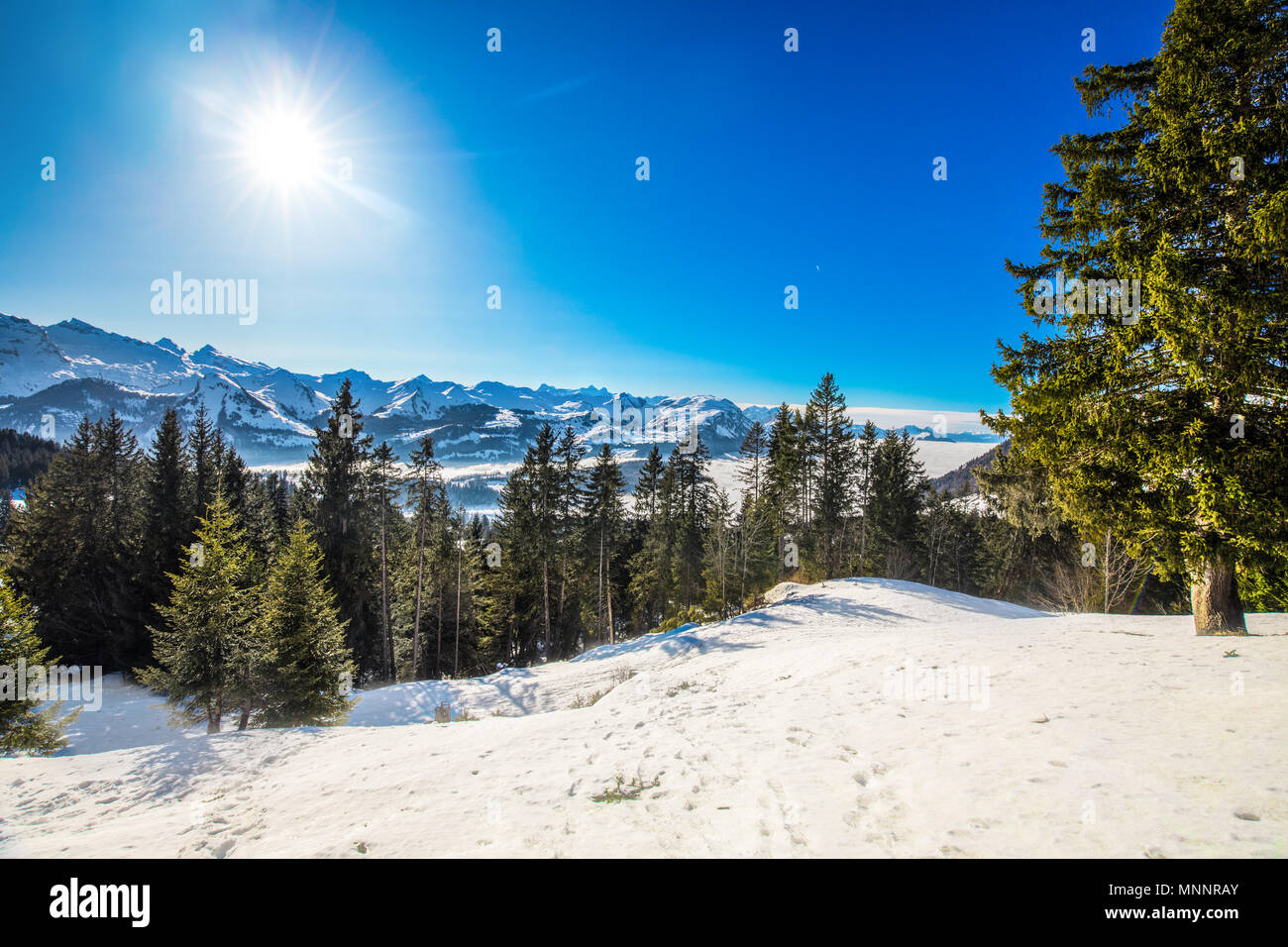 Incantevole paesaggio invernale panorama. Alpi svizzere coperte da neve in Ibergeregg, Svizzera, Europa. Foto Stock
