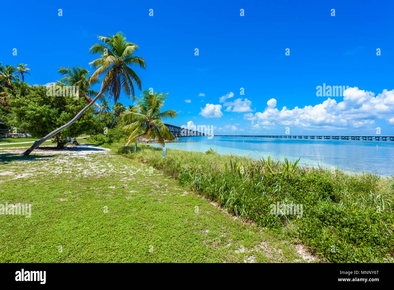 Bahia Honda State Park - Calusa Beach, Florida Keys - costa tropicale con spiagge paradisiache - USA Foto Stock
