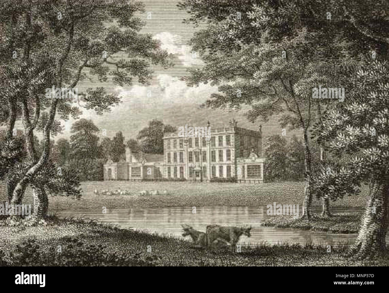 . W:Osmaston Hall nel Derbyshire . 1805. Angus, W 948 Osmaston Hall Foto Stock